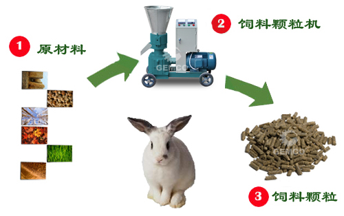 上青牌兔飼料顆粒機壓制顆粒過程圖