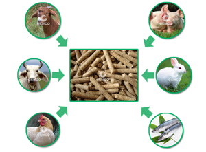 牛、羊、豬、兔等均可食用顆粒飼料